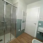 Agricamping Al Grappolo Di Vino In - Gardasee Apartman